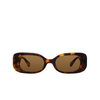 Linda Farrow LOLA Sunglasses 2 t - shell / yellow gold - product thumbnail 1/5