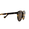 Moncler ML0229 Sunglasses 55J havana - product thumbnail 3/3