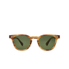 Mr. Leight DEAN S Sunglasses MRRYE-WG/BOXGRN marbled rye-white gold - product thumbnail 1/4