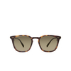 Mr. Leight GETTY II S Sunglasses HONT-ATG/SMKY honu tortoise-antique gold - product thumbnail 1/4