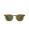 Mr. Leight GETTY II S Sunglasses MRRYE-ATG/GRN marbled rye-antique gold - product thumbnail 1/4