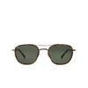 Mr. Leight PRICE S Sunglasses HONT-ATG/PG15 honu tortoise-antique gold - product thumbnail 1/4
