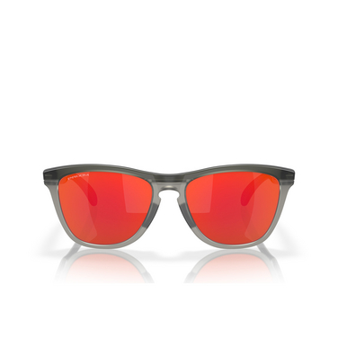 Oakley FROGSKINS RANGE Sunglasses 928401 matte grey smoke / grey ink - front view