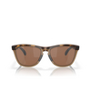 Gafas de sol Oakley FROGSKINS RANGE 928407 brown tortoise / brown smoke - Miniatura del producto 1/4