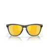 Oakley FROGSKINS RANGE Sunglasses 928408 dark brush - product thumbnail 1/4