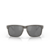 Oakley HOLBROOK Sunglasses 9102W9 woodgrain - product thumbnail 1/4