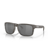 Oakley HOLBROOK XL Sunglasses 941734 woodgrain - product thumbnail 2/4