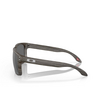 Oakley HOLBROOK XL Sunglasses 941734 woodgrain - product thumbnail 3/4