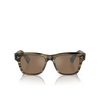 Oliver Peoples BIRRELL Sunglasses 1719G8 olive smoke - product thumbnail 1/4