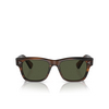 Gafas de sol Oliver Peoples BIRRELL SUN 172452 tuscany tortoise - Miniatura del producto 1/4