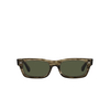 Oliver Peoples DAVRI Sunglasses 173552 soft olive bark - product thumbnail 1/4