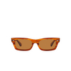 Oliver Peoples DAVRI Sunglasses 174253 sugi tortoise - product thumbnail 1/4