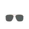 Oliver Peoples DRESNER Sunglasses 5292P2 gold - product thumbnail 1/4