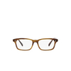 Oliver Peoples EDELSON Eyeglasses 1011 raintree - product thumbnail 1/4