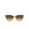 Oliver Peoples GERARDO Sunglasses 170385 canarywood gradient / antique gold - product thumbnail 1/4