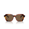 Oliver Peoples KIENNA Sunglasses 100773 dark mahogany - product thumbnail 1/4