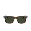 Oliver Peoples LACHMAN Sunglasses 1677P1 bark - product thumbnail 1/4
