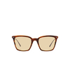 Oliver Peoples LUISELLA Sunglasses 1310M4 amaretto / striped honey / antique gold - product thumbnail 1/4