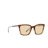 Oliver Peoples LUISELLA Sunglasses 1310M4 amaretto / striped honey / antique gold - product thumbnail 2/4