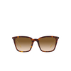 Oliver Peoples LUISELLA Sunglasses 176851 amaro tortoise / gold - product thumbnail 1/4
