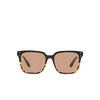 Oliver Peoples PARCELL Eyeglasses 1756 espresso / 382 gradient - product thumbnail 1/4