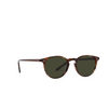 Oliver Peoples RILEY Sunglasses 1724P1 tuscany tortoise - product thumbnail 2/4
