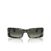 Gafas de sol Persol FRANCIS 108071 grey tortoise - Miniatura del producto 1/4