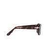 Persol JEAN Sunglasses 24/B1 havana - product thumbnail 3/4