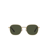 Persol PO1009S Sunglasses 515/31 gold - product thumbnail 1/4