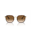 Persol PO1015SJ Sunglasses 112651 gold havana - product thumbnail 1/4
