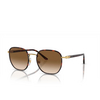 Persol PO1015SJ Sunglasses 112651 gold havana - product thumbnail 2/4