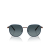 Persol PO1015SJ Sunglasses 1127S3 brown / blue - product thumbnail 1/4