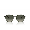 Gafas de sol Persol PO1015SJ 112871 black / green - Miniatura del producto 1/4