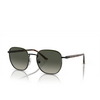Persol PO1015SJ Sunglasses 112871 black / green - product thumbnail 2/4