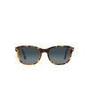 Persol PO1935S Sunglasses 1052S3 madreterra - product thumbnail 1/4