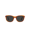 Persol PO1935S Sunglasses 96/48 terra di siena - product thumbnail 1/4