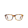 Persol PO1935V Eyeglasses 1052 madreterra - product thumbnail 1/4