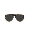 Persol PO3311S Sunglasses 110248 honey tortoise - product thumbnail 1/4