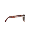 Persol PO3311S Sunglasses 24/31 havana - product thumbnail 3/4