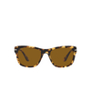 Persol PO3313S Sunglasses 105633 brown / beige tortoise - product thumbnail 1/4
