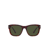 Persol PO3313S Sunglasses 24/31 tortoise brown - product thumbnail 1/4