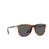 Persol PO3314S Sunglasses 1102B1 tortoise honey - product thumbnail 2/4