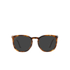 Persol PO3316S Sunglasses 110248 tortoise honey - product thumbnail 1/4