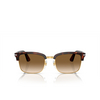 Persol PO3327S Sunglasses 24/51 havana - product thumbnail 1/4