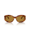 Persol PO3335S Sunglasses 106/53 brown tortoise - product thumbnail 1/4