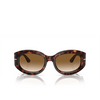 Persol PO3335S Sunglasses 24/51 havana - product thumbnail 1/4