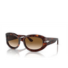 Persol PO3335S Sunglasses 24/51 havana - product thumbnail 2/4