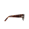 Persol TOM Sunglasses 24/31 havana - product thumbnail 3/4