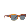 Persol TOM Sunglasses 96/56 terra di siena - product thumbnail 2/4