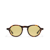 Peter And May THE COOL KID SUN Sunglasses TORTOISE - product thumbnail 1/4